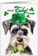 St Patrick’s Day Schnauzer Dog Feelin’ Lucky Clovers card
