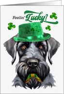 St Patrick’s Day Giant Schnauzer Dog Feelin’ Lucky Clovers card