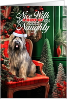 Briard Christmas Dog Nice with a Hint of Naughty card