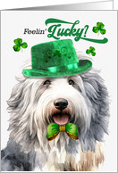 St Patrick’s Day English Sheepdog Dog Feelin’ Lucky Clovers card