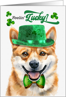 St Patrick’s Day Shiba Inu Dog Feelin’ Lucky Clovers card