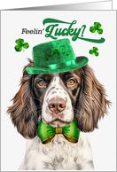 St Patrick’s Day English Springer Dog Feelin’ Lucky Clovers card