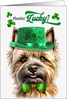St Patrick’s Day Cairn Terrier Dog Feelin’ Lucky Clovers card