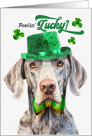 St Patrick’s Day Weimaraner Dog Feelin’ Lucky Clovers card