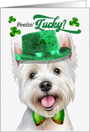 St Patrick’s Day West Highland Terrier Dog Feelin’ Lucky Clovers card