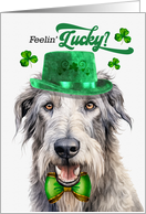 St Patrick’s Day Irish Wolfhound Dog Feelin’ Lucky Clovers card