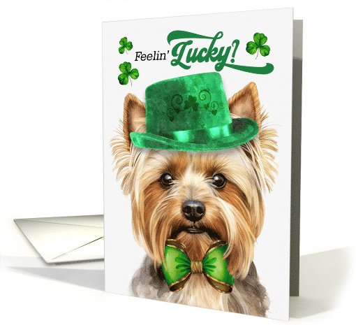 St Patrick's Day Teacup Yorkshire Terrier Dog Feelin... (1756612)