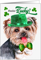 St Patrick’s Day Teacup Yorkshire Terrier Dog Feelin’ Lucky Clovers card