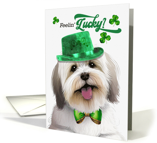 St Patrick's Day Coton de Tulear Dog Feelin' Lucky Clovers card
