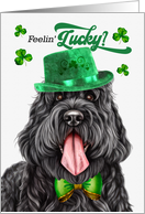 St Patrick’s Day Black Russian Terrier Dog Feelin’ Lucky Clovers card