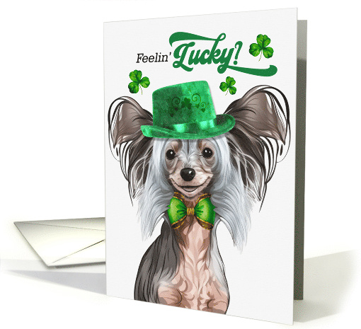 St Patrick's Day Chinese Crested Dog Feelin' Lucky Clovers card