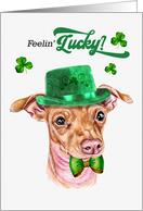 St Patrick’s Day Chiweenie Dog Feelin’ Lucky Clovers card
