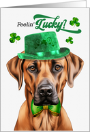St Patrick’s Day Rhodesian Ridgeback Dog Feelin’ Lucky Clovers card