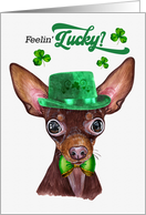 St Patrick’s Day Russian Toy Terrier Dog Feelin’ Lucky Clovers card