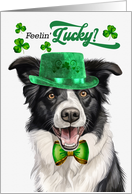 St Patrick’s Day Border Collie Dog Feelin’ Lucky Clovers card