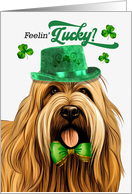 St Patrick’s Day Briard Dog Feelin’ Lucky Clovers card