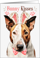 Easter Bunny Kisses Bull Terrier Dog in Bunny Ears card