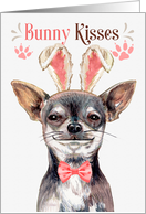 Easter Bunny Kisses Black and Tan Chihuahua Dog in Bunny Ears card