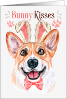Easter Bunny Kisses Welsh Corgi Dog in Bunny Ears card
