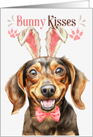 Easter Bunny Kisses Dachshund Dog in Bunny Ears card