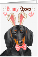 Easter Bunny Kisses Dachshund Dog in Bunny Ears card