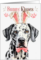 Easter Bunny Kisses Dalmatian Dog in Bunny Ears card