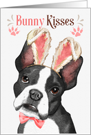Easter Bunny Kisses Boston Terrier Dog in Bunny Ears card