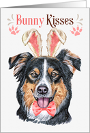 Easter Bunny Kisses English Shepherd Dog in Bunny Ears card
