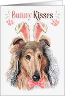Easter Bunny Kisses Collie Dog in Bunny Ears card