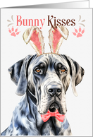 Easter Bunny Kisses Great Dane Dog in Bunny Ears card