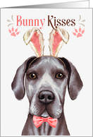 Easter Bunny Kisses Great Dane Dog in Bunny Ears card