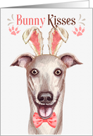 Easter Bunny Kisses Greyhound Dog in Bunny Ears card