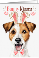 Easter Bunny Kisses Jack Russell Terrier Dog in Bunny Ears card