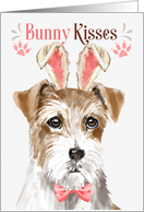 Easter Bunny Kisses Wire Haired Jack Russell Dog in Bunny Ears card