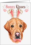 Easter Bunny Kisses Yellow Labrador Retriever Dog in Bunny Ears card