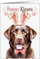Easter Bunny Kisses Chocolate Labrador Retriever Dog in Bunny Ears card