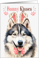 Easter Bunny Kisses Malamute Dog in Bunny Ears card