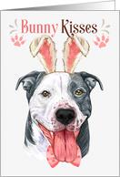 Easter Bunny Kisses Stafforshire Terrier Dog in Bunny Ears card