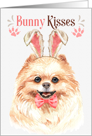 Easter Bunny Kisses Pomeranian Dog in Bunny Ears card