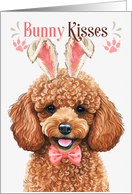 Easter Bunny Kisses Toy Poodle Dog in Bunny Ears card