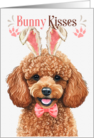 Easter Bunny Kisses...