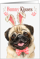 Easter Bunny Kisses Pug Dog in Bunny Ears card
