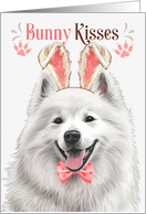 Easter Bunny Kisses Samoyed Dog in Bunny Ears card