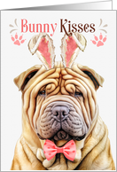 Easter Bunny Kisses Shar Pei Dog in Bunny Ears card