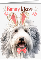 Easter Bunny Kisses English Sheepdog in Bunny Ears card