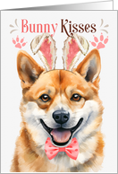 Easter Bunny Kisses Shiba Inu in Bunny Ears card