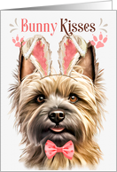 Easter Bunny Kisses Cairn Terrier in Bunny Ears card