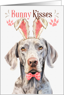 Easter Bunny Kisses Weimaraner Dog in Bunny Ears card