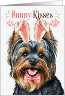 Easter Bunny Kisses Toy Yorkshire Terrier Dog in Bunny Ears card