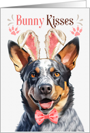 Easter Bunny Kisses Australian Cattle Dog in Bunny Ears card